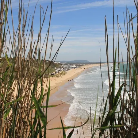 Apartment Estudio En El Centro De Conil Conil De La Frontera